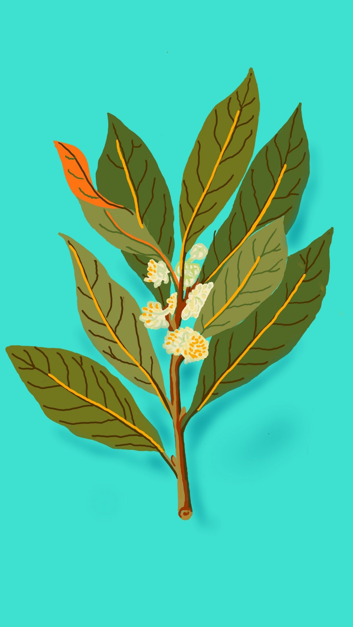 Azedara Apartments. Gezeichneter Lorbeerzweig farbig, Erkennung des Apartments Lovor.